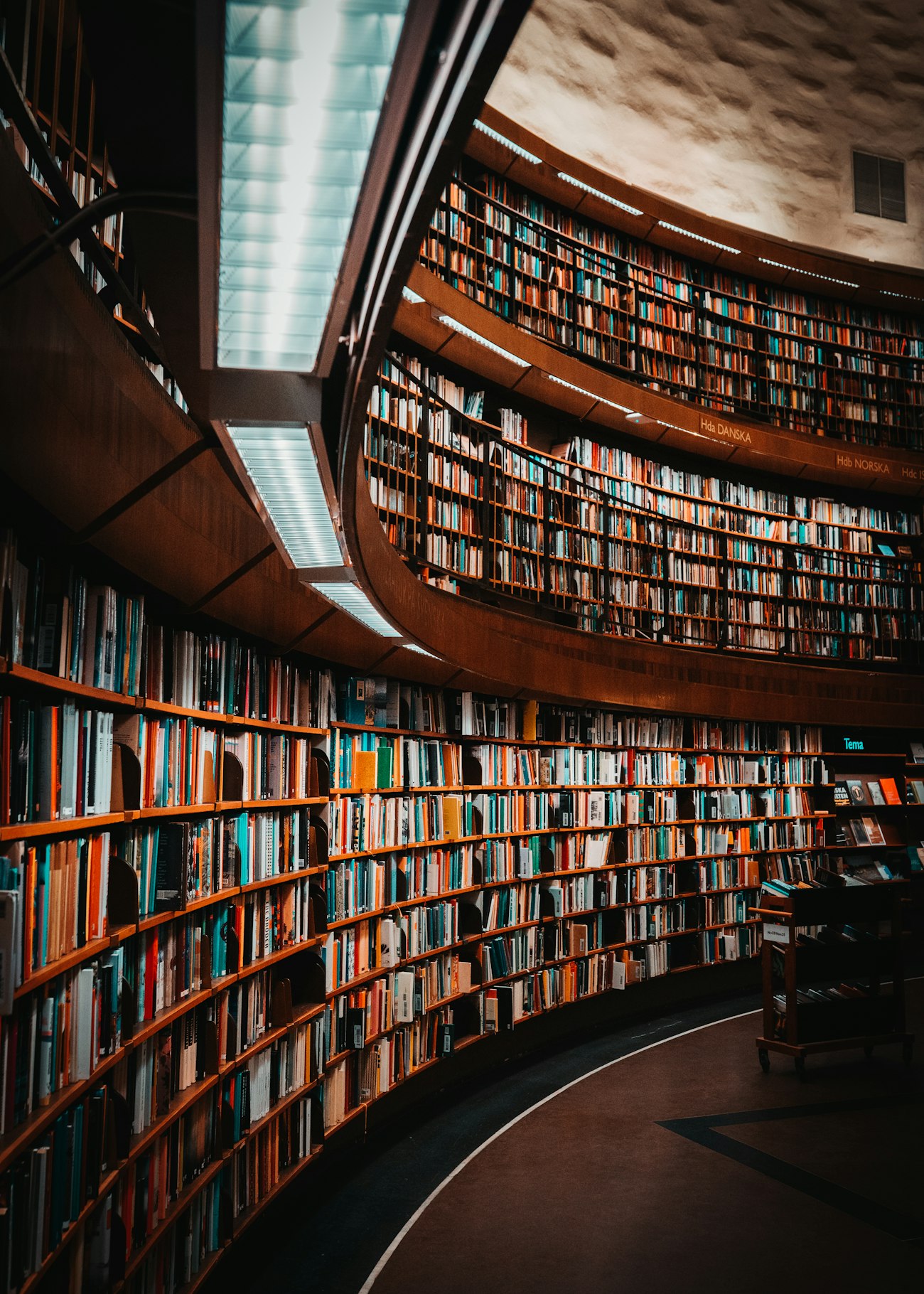 Galerie d'une bibliothèque juridique aux rayonnages de bois courbes garnis d'ouvrages reliés
